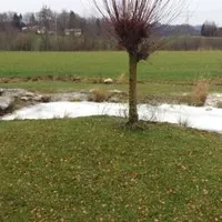 20151202_104241.jpg