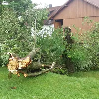 20170819_095908.jpg